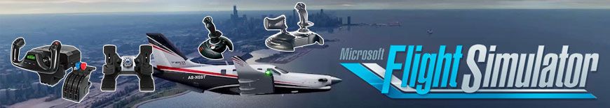 Banner Microsoft Flight Simulator 2020