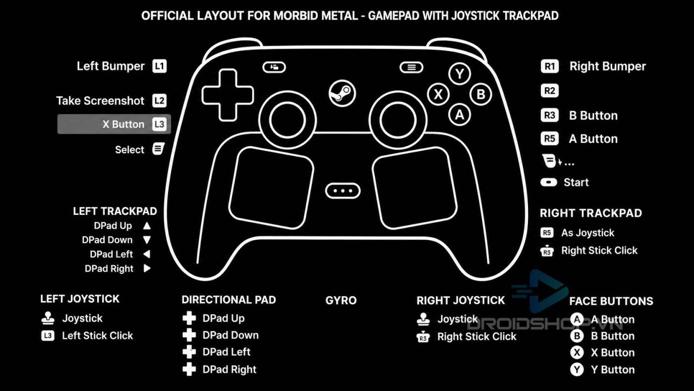 Steam Input