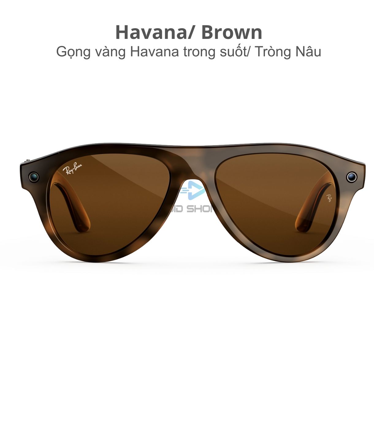 Ray Ban Meta Aviator Gen 3 Havana Brown