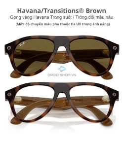 Ray Ban Meta Aviator Gen 3 Polished Havana Transitions Brown