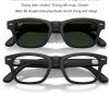 Mate Black/ Transitions lenses